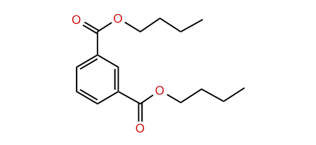 Dibutyl isophthalate